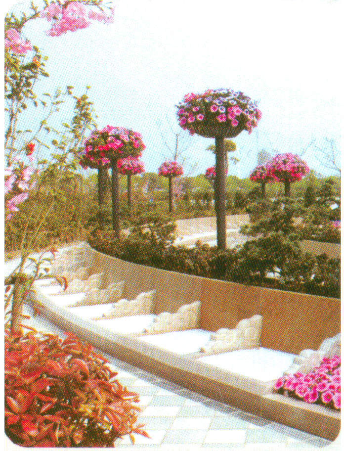 海湾花坛葬B，92500