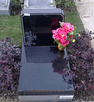 至尊园紫霞园九区56900(1